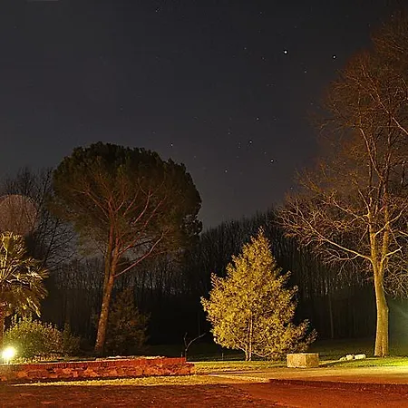 Masferrer 4*